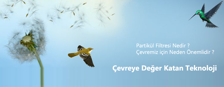 DPF Nedir?